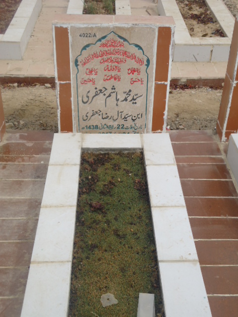14022 – Syed Muhammad Hashim Jaffery
