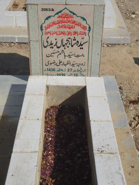 12063 – Syeda Shajahan Zaidi