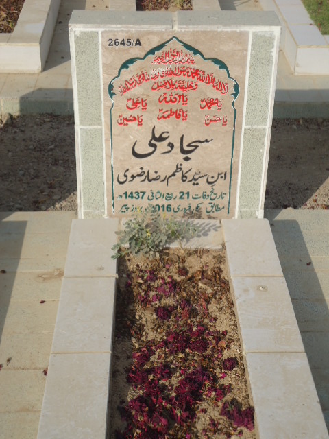 12645 – Sajjad Ali