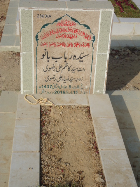 12809 – Syeda Rubab Bano