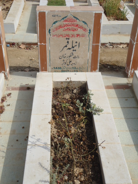 14277 – Anila Qamar