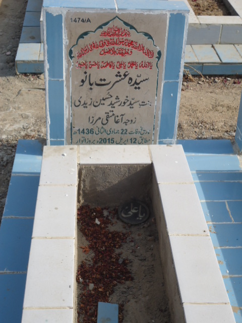 11474 – Syeda Ishrat Bano