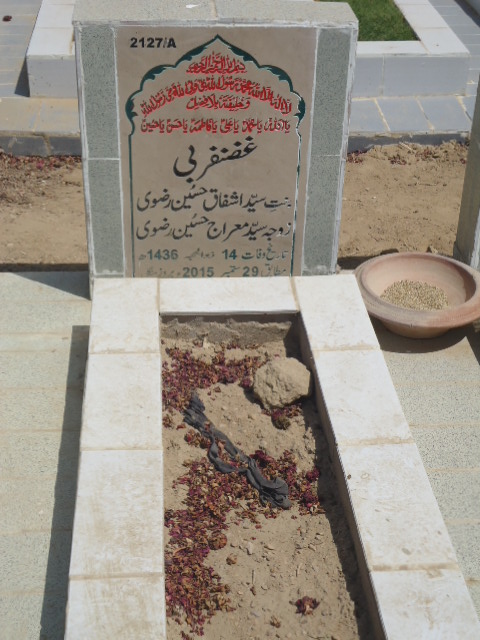 12127 – Ghazanfar Bi