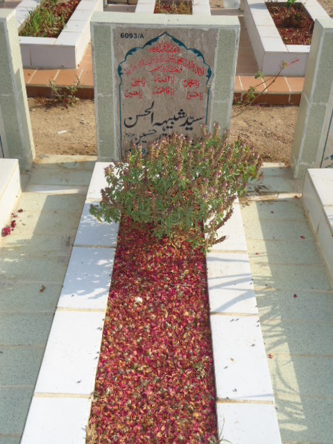 16093 – Syed Shabhi Ul Hassan