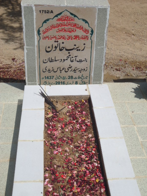 11752 – Zainab Khatoon