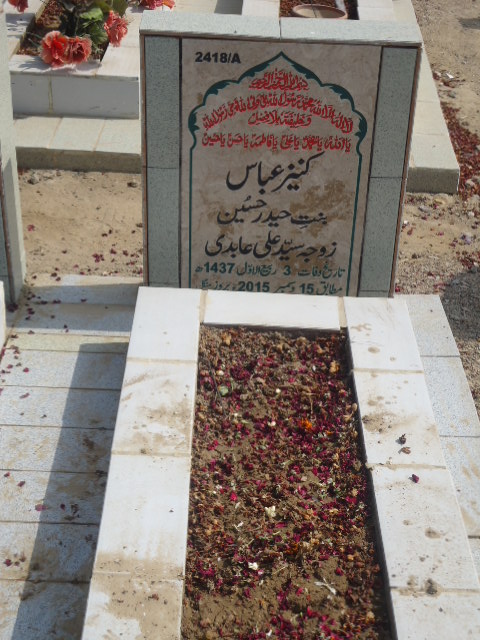 12418 – Kaneez Abbas