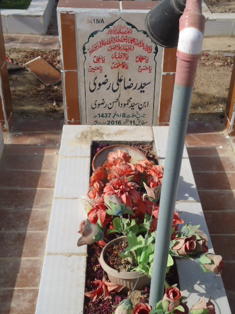 13415 – Syed Raza Ali Rizvi