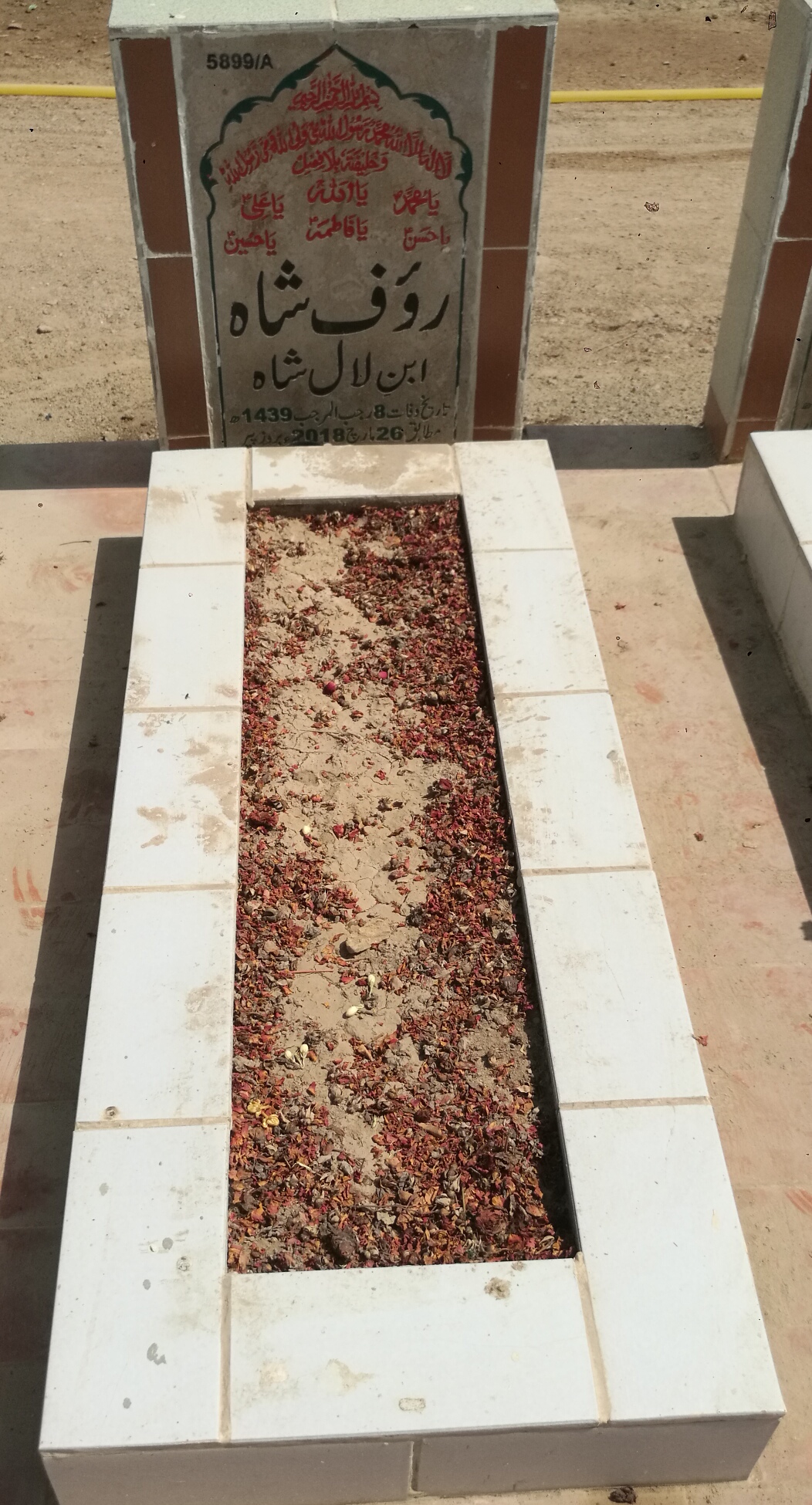 15899 – Rauf Shah