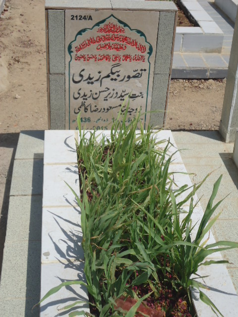 12124 – Tassawwar Begum Zaidi