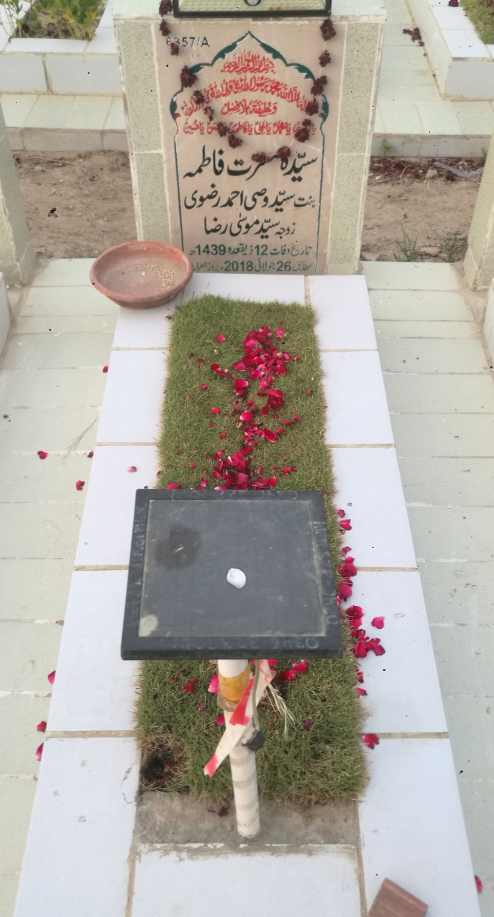 16357 – Syeda Musarrat Fatima