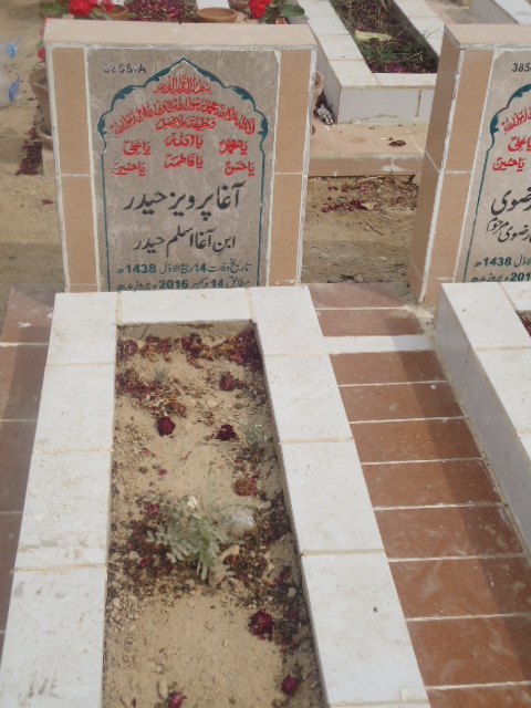 13855 – Agha Parveez Haider