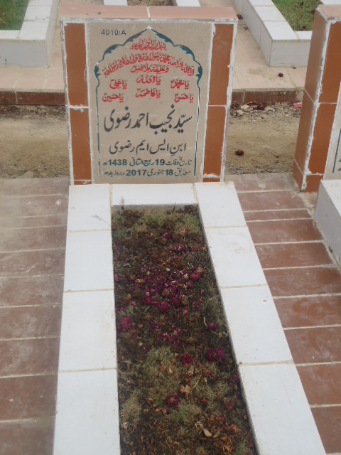 14010 – Syed Najeeb Ahmed Rizvi