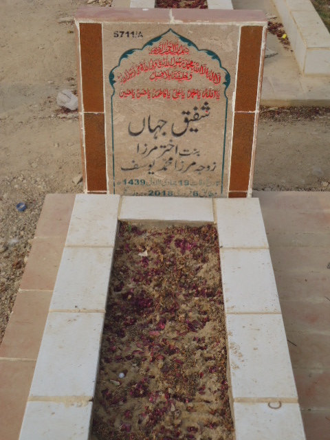 15711 – Shafiqe Jahan