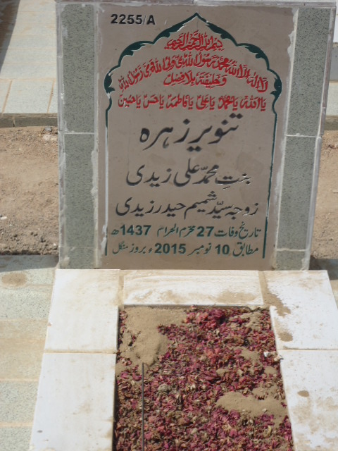 12255 – Tanveer Zehra
