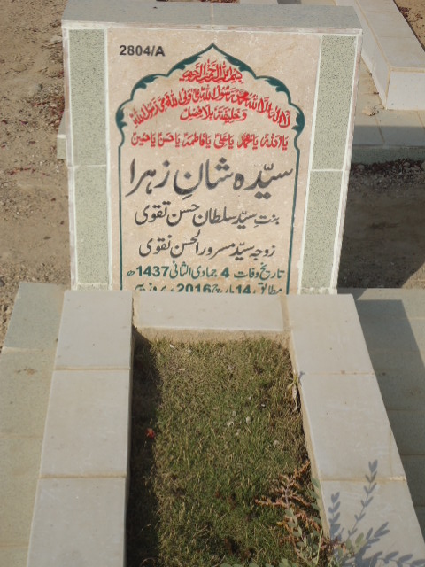 12804 – Syeda Shan E Zehra