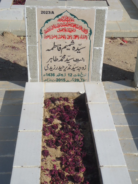 12023 – Syeda Shamim Fatima