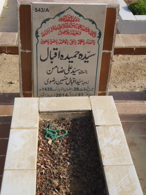 10543 – Syeda Hameeda Iqbal