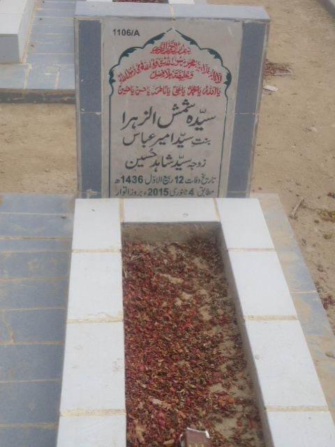 11106 – Syeda Shamshul Zehra