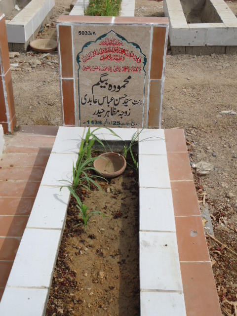 15033 – Mehmooda Begum