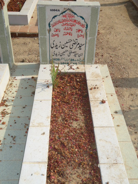 16084 – Syed Murtaza Hussain Zaidi