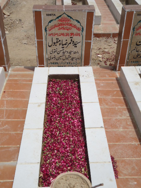 15087 – Syeda Qamar Zia Maqbool