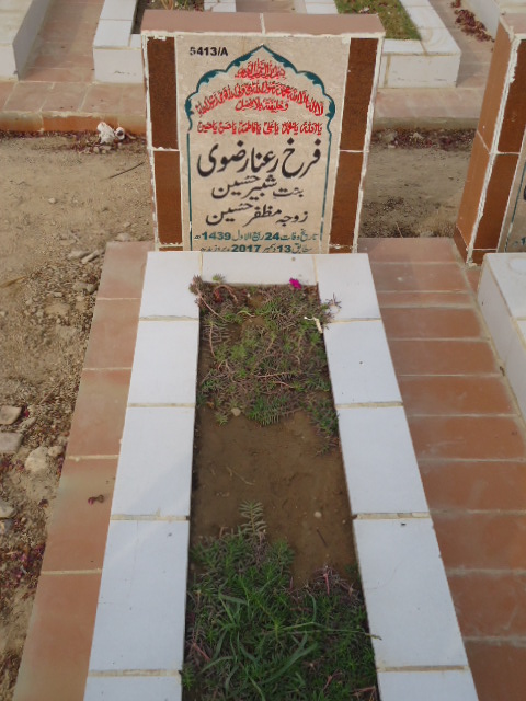 15413 – Farah Rana Rizvi