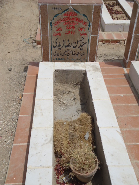 14941 – Syed Hassan Raza Zaidi