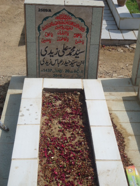 12509 – Syed Muhammad Ali Zaidi