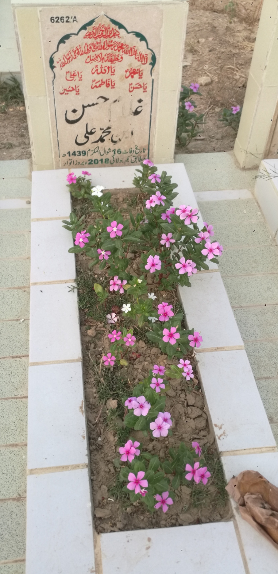 16262 – Ghulam Hassan
