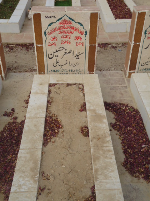 15537 – Syed Asghar Hussain