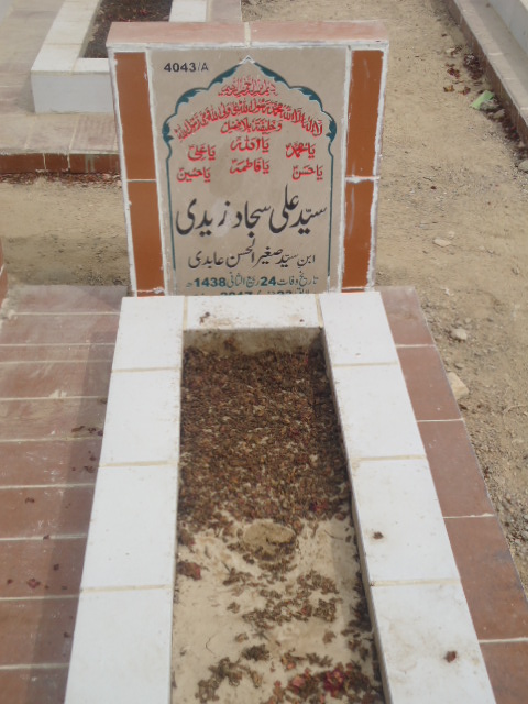 14043 – Syed Ali Sajjad Abidi