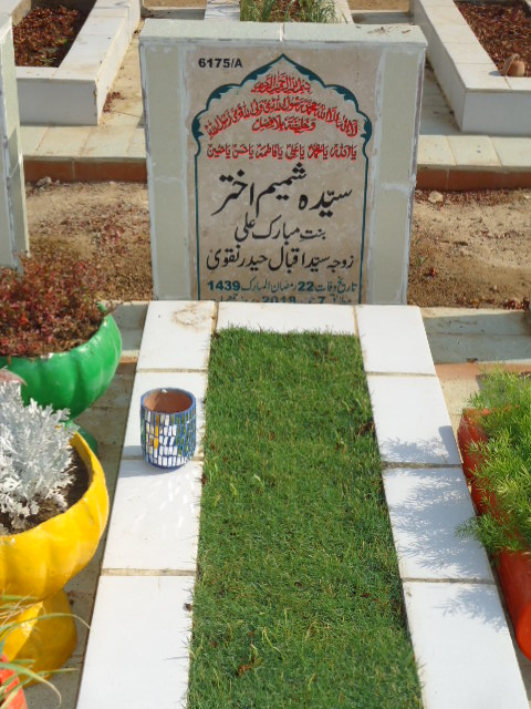 16175 – Syeda Shamim Akhtar