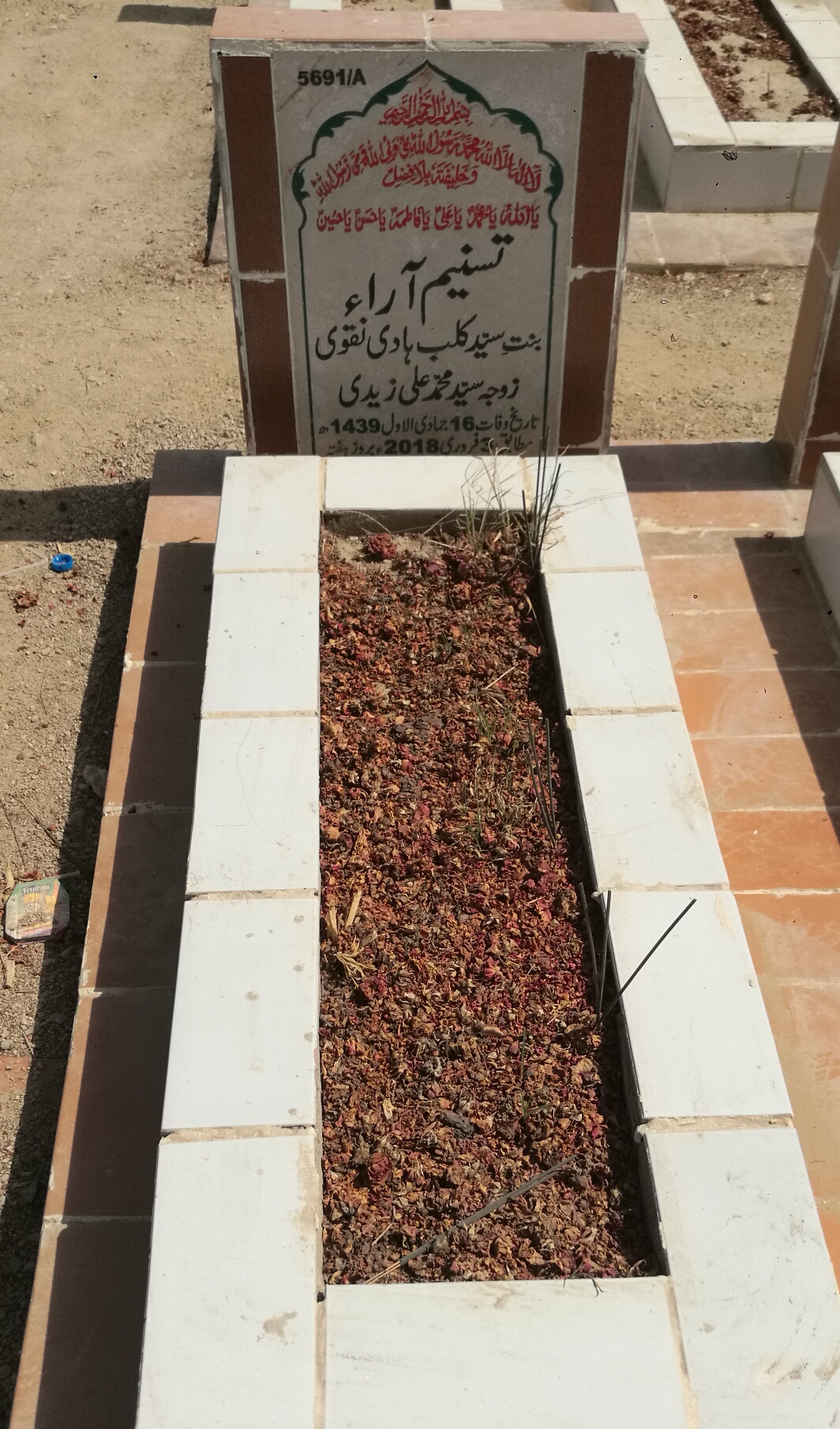 15691 – Tasneem Arra