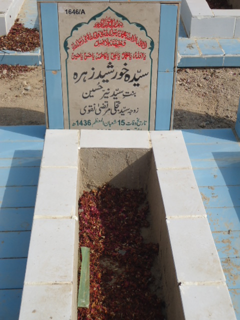 11646 – Syeda Khursheed Zehra