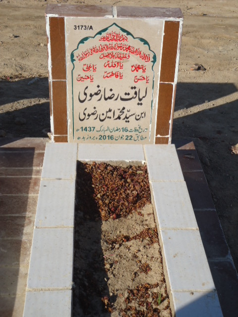 13173 – Liaquat Raza Rizvi