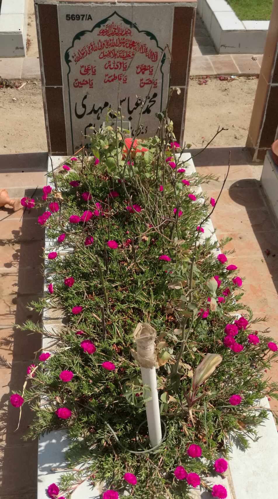 15697 – Muhammad Abbas Mehdi