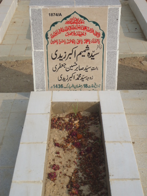 11874 – Dr Syeda Shamim Akbar Zaidi