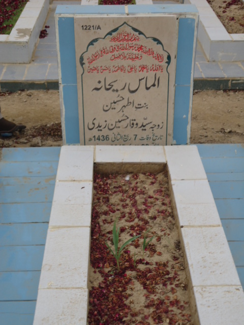 11221 – Almas Rehana