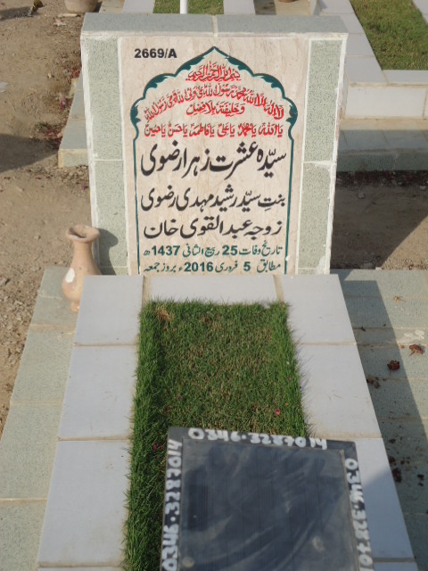 12669 – Syeda Ishrat Zehra Rizvi