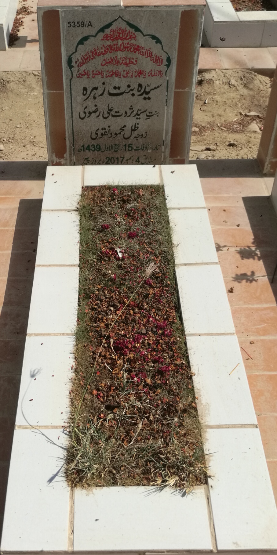 15359 – Syeda Binte Zehra