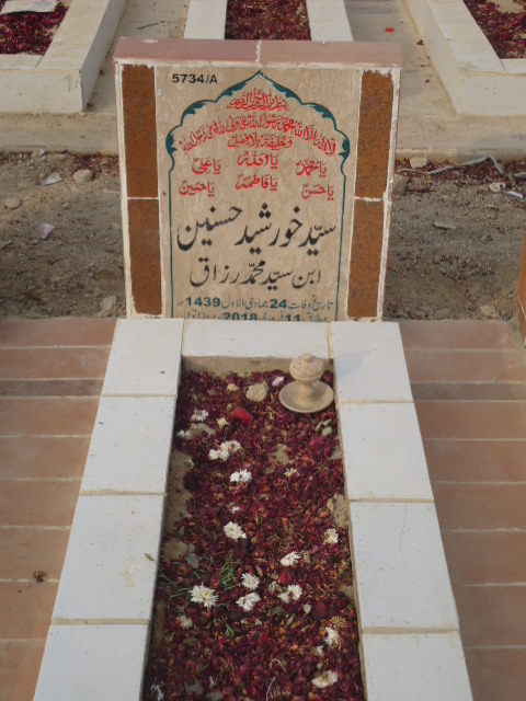 15734 – Syed Khursheed Hasnain
