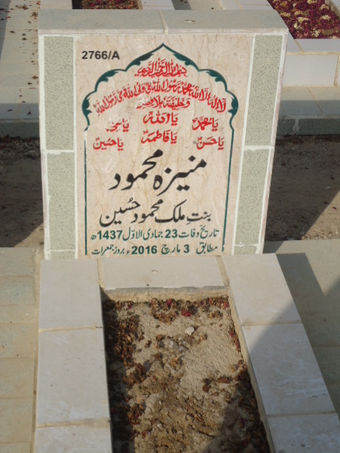 12766 – Muneeza Mehmood