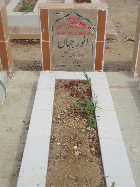 14164 – Anwar Jahan