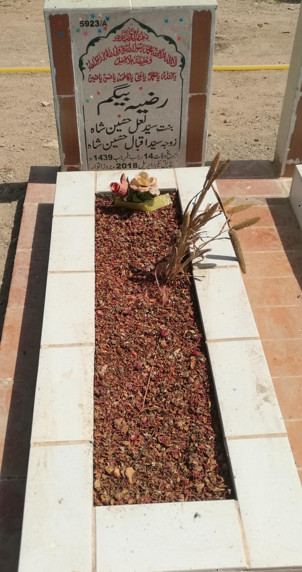 15923 – Razia Begum