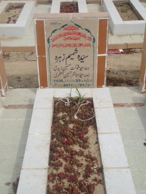 14187 – Syeda Shamim Zehra