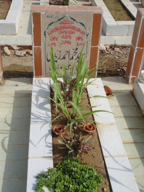 14287 – Syed Muhammad Ahmed Zaidi