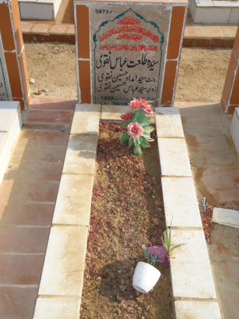 15873 – Syeda Talat Abbas Naqvi