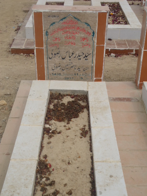 14126 – Syed Haider Abbas Rizvi