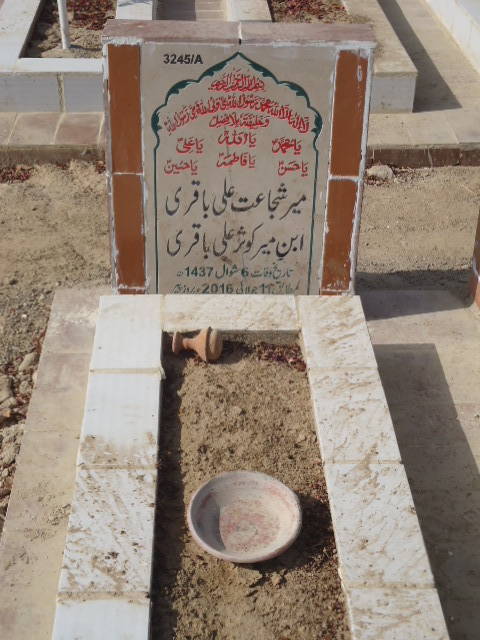 13245 – Mir Shujaat Ali Baqari