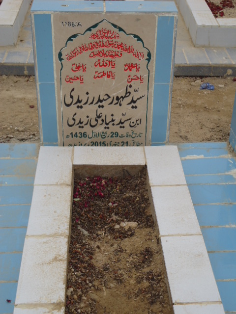 11186 – Syed Zahoor Haider Zaidi